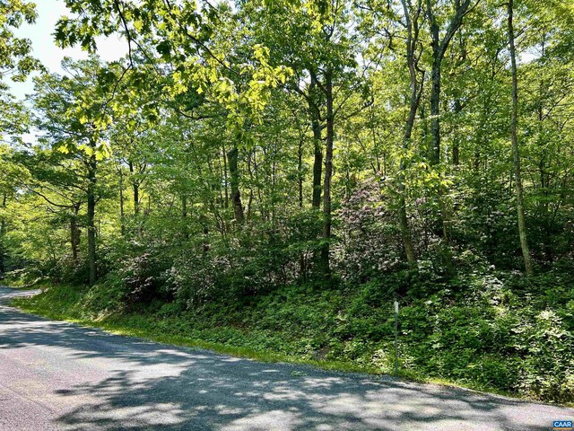 62 Split Rock Trl, Wintergreen Resort, VA 22967