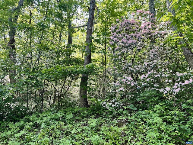 62 Split Rock Trl, Wintergreen Resort, VA 22967