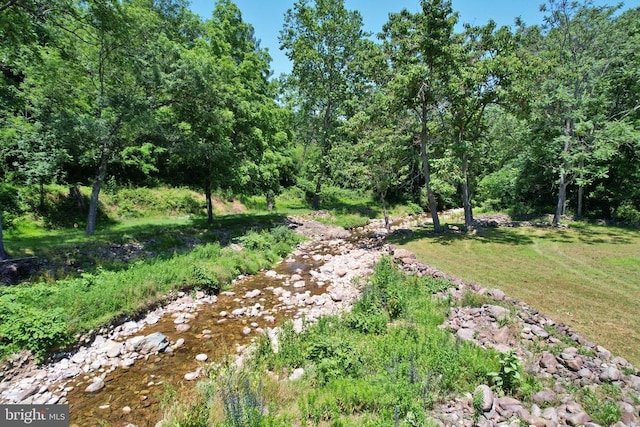3150 Ida Rd, Luray, VA 22835 - view of green lawn