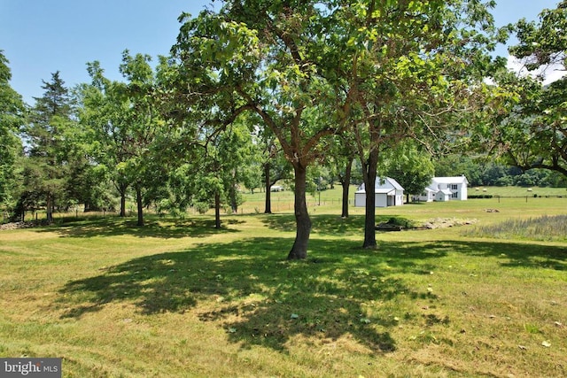 3150 Ida Rd, Luray, VA 22835 - view of green lawn with an outdoor structure