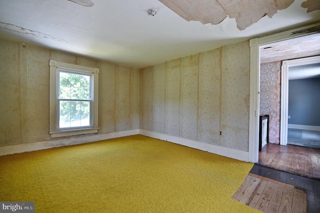 3150 Ida Rd, Luray, VA 22835 - empty room featuring wood-type flooring and a fireplace