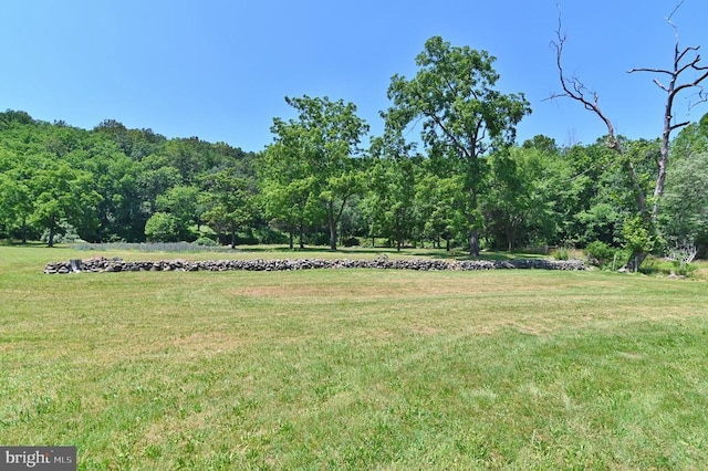 3150 Ida Rd, Luray, VA 22835 - view of grassy yard