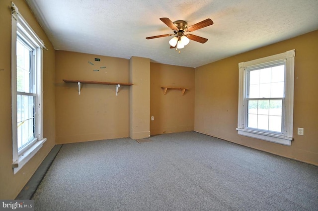 3150 Ida Rd, Luray, VA 22835 - empty room featuring healthy amount of natural light, ceiling fan, and light colored carpet