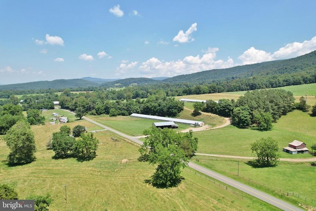 3150 Ida Rd, Luray, VA 22835 - view of rural area featuring mountains and a pastoral area