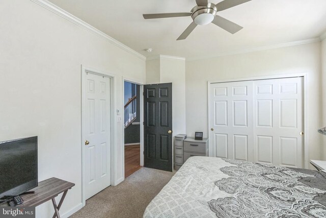 10110 Lees Crossing Ln, Fredericksburg, VA 22408 - photo 32