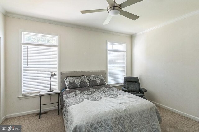 10110 Lees Crossing Ln, Fredericksburg, VA 22408 - photo 31