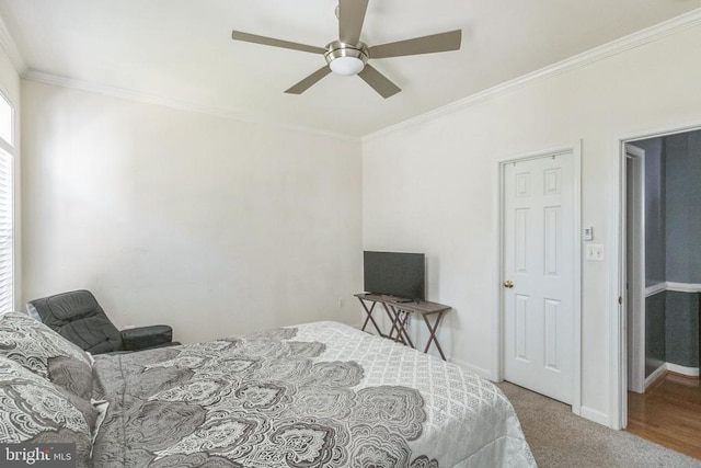 10110 Lees Crossing Ln, Fredericksburg, VA 22408 - photo 30