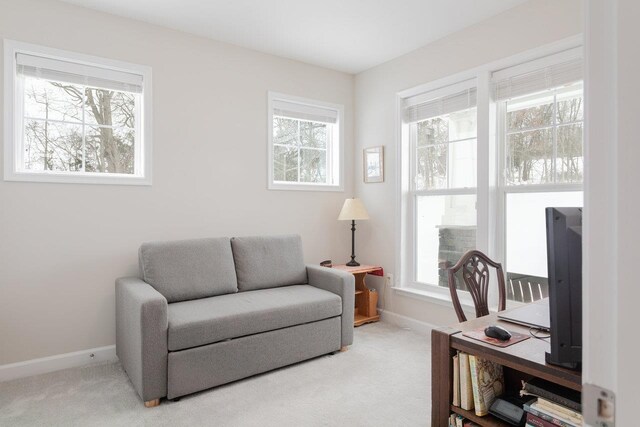 bedroom featuring light carpet