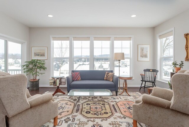 living room with wood-type flooring