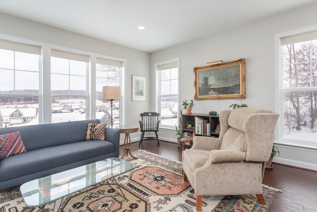 living room with dark hardwood / wood-style floors