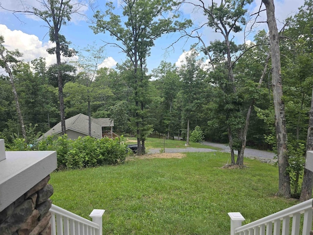 41 Scenic Hills Dr, Waynesboro, VA 22980 - photo 29
