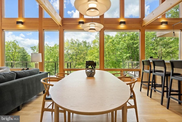559 Bessie Bell Mountain Rd, Castleton, VA 22716 - dining space featuring light wood-style floors and plenty of natural light