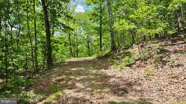 559 Bessie Bell Mountain Rd, Castleton, VA 22716 - view of wooded area