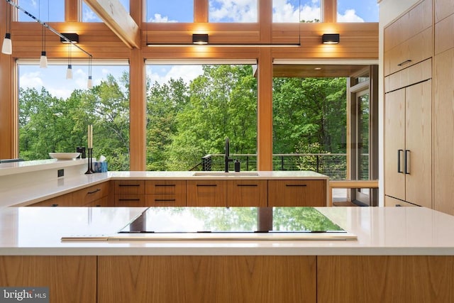 559 Bessie Bell Mountain Rd, Castleton, VA 22716 - kitchen with a sink, light countertops, healthy amount of natural light, and decorative light fixtures