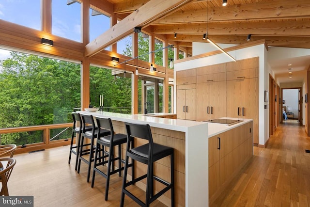 559 Bessie Bell Mountain Rd, Castleton, VA 22716 - kitchen with light wood-type flooring, modern cabinets, and plenty of natural light