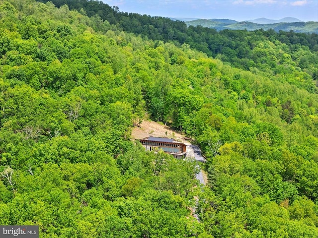 559 Bessie Bell Mountain Rd, Castleton, VA 22716 - view of subject property with a forest