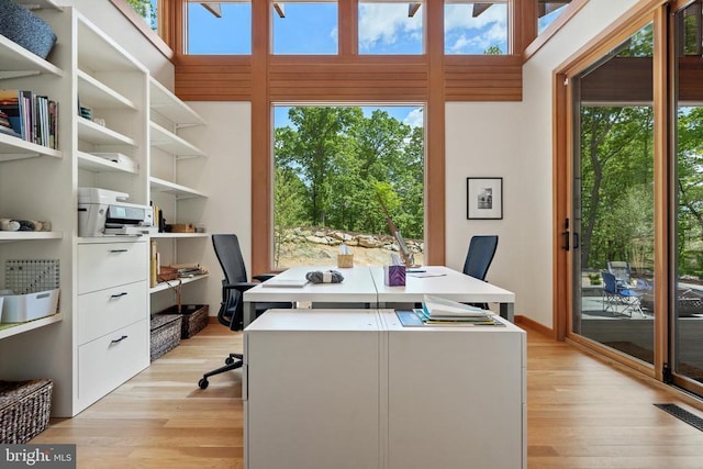 559 Bessie Bell Mountain Rd, Castleton, VA 22716 - office with light wood finished floors and plenty of natural light