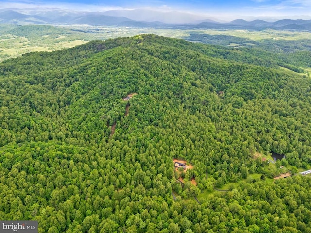 559 Bessie Bell Mountain Rd, Castleton, VA 22716 - drone / aerial view of a heavily wooded area and a mountainous background