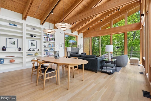 559 Bessie Bell Mountain Rd, Castleton, VA 22716 - dining area featuring a fireplace, wooden ceiling with exposed beams, light wood-style floors, built in features, and rail lighting
