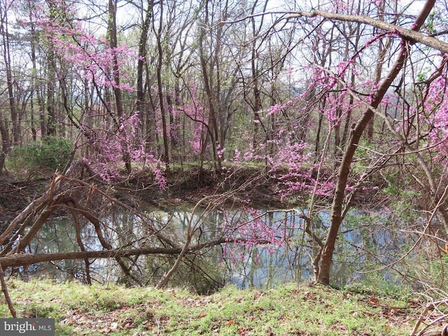  - photo 2