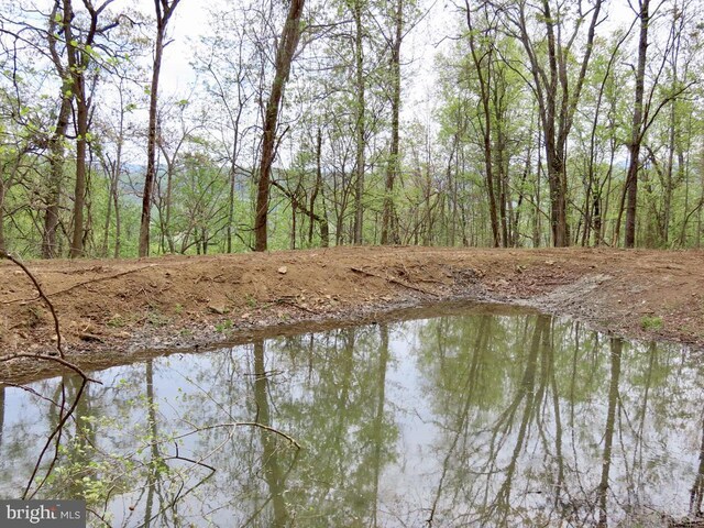  - photo 3