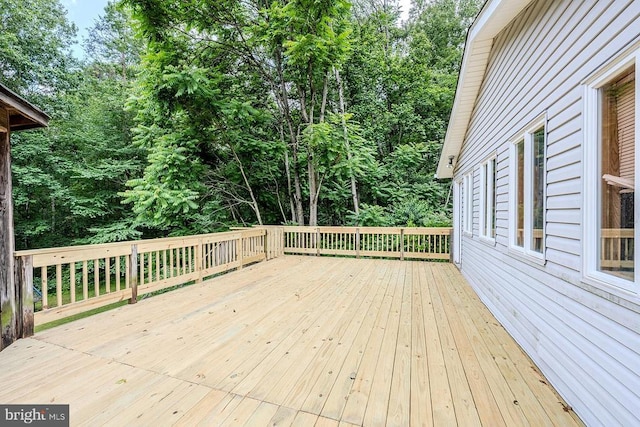 484 Viewtown Rd, Amissville, VA 20106 - photo 47