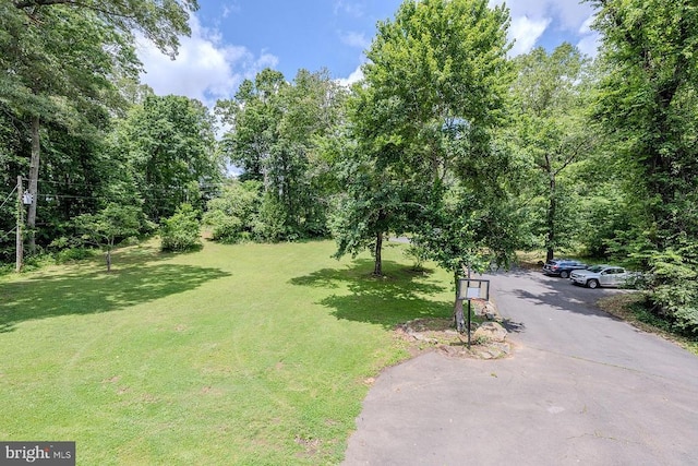 484 Viewtown Rd, Amissville, VA 20106 - photo 49