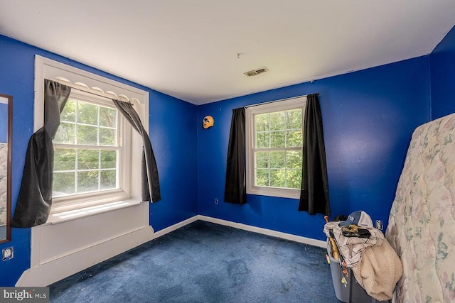 484 Viewtown Rd, Amissville, VA 20106 - photo 28