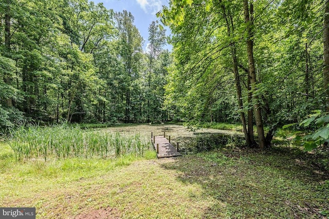 484 Viewtown Rd, Amissville, VA 20106 - photo 43
