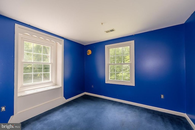 484 Viewtown Rd, Amissville, VA 20106 - photo 27