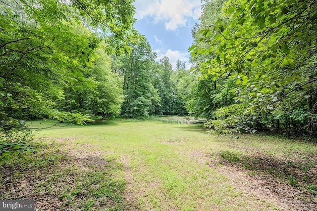 484 Viewtown Rd, Amissville, VA 20106 - photo 41