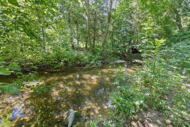 3416 Point Rd E, Elkton, VA 22827 - view of local wilderness