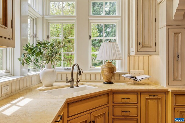 353 Bloomfield Rd, Charlottesville, VA 22901 - kitchen featuring a sink and healthy amount of natural light