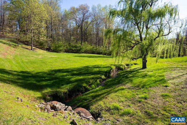 353 Bloomfield Rd, Charlottesville, VA 22901 - view of green lawn