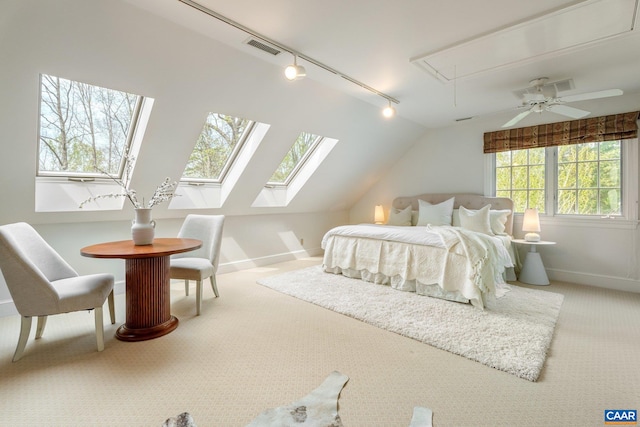 353 Bloomfield Rd, Charlottesville, VA 22901 - carpeted bedroom with rail lighting, baseboards, attic access, vaulted ceiling, and a skylight
