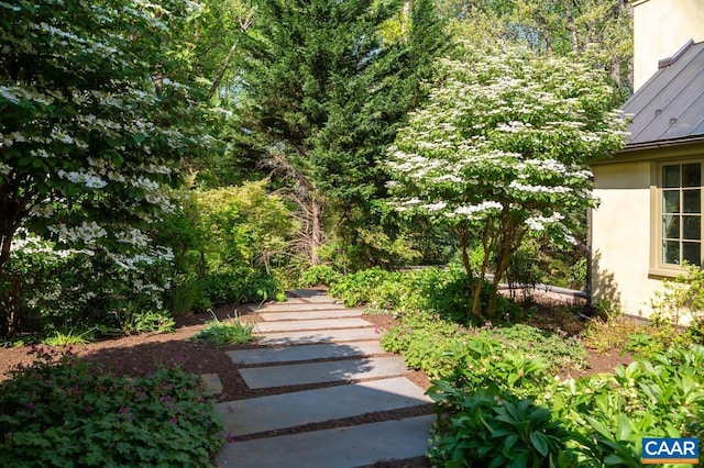 353 Bloomfield Rd, Charlottesville, VA 22901 - view of yard