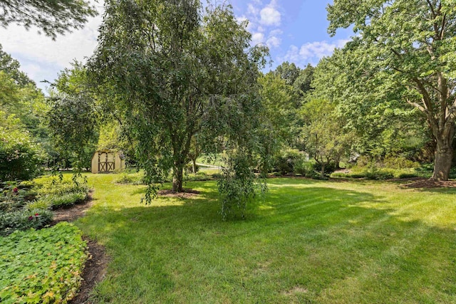 111 Mirandy Ct, Bridgewater, VA 22812 - photo 9