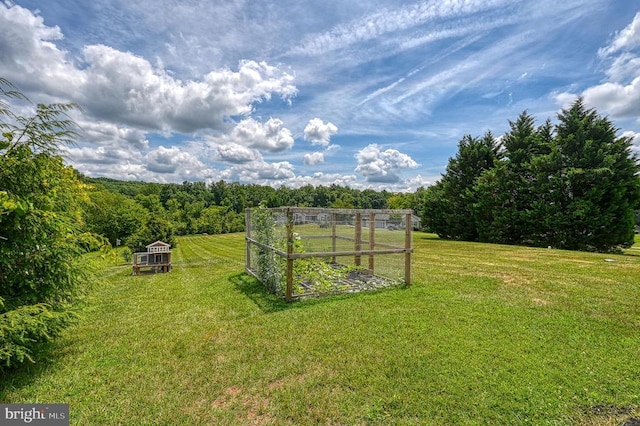6905 Lakes Edge Way, Mineral, VA 23117 - view of grassy yard featuring a garden, a rural view, and a forest view