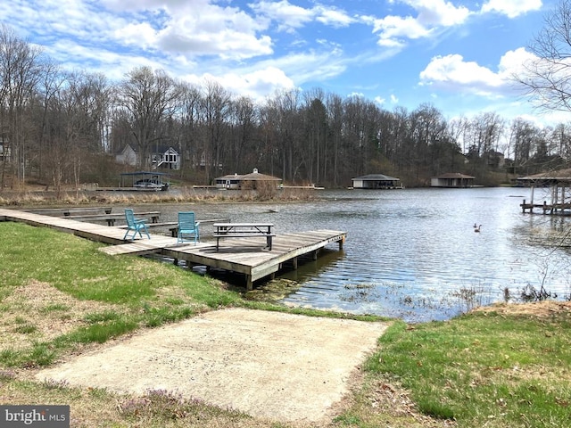 6905 Lakes Edge Way, Mineral, VA 23117 - dock area with a boat ramp, a water view, and a view of trees