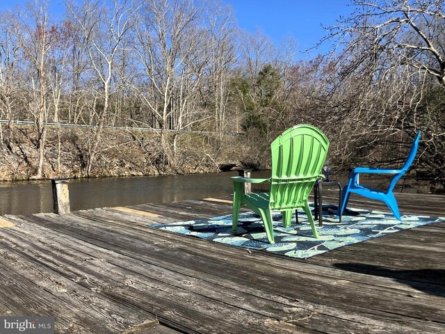 6905 Lakes Edge Way, Mineral, VA 23117 - dock with a water view