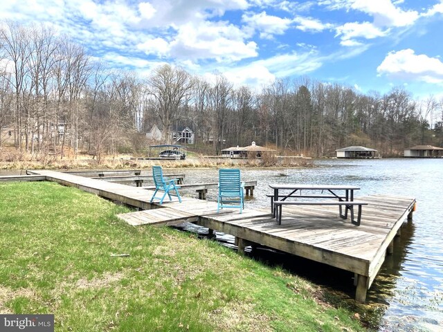 6905 Lakes Edge Way, Mineral, VA 23117 - dock area with a water view, view of scattered trees, and a lawn