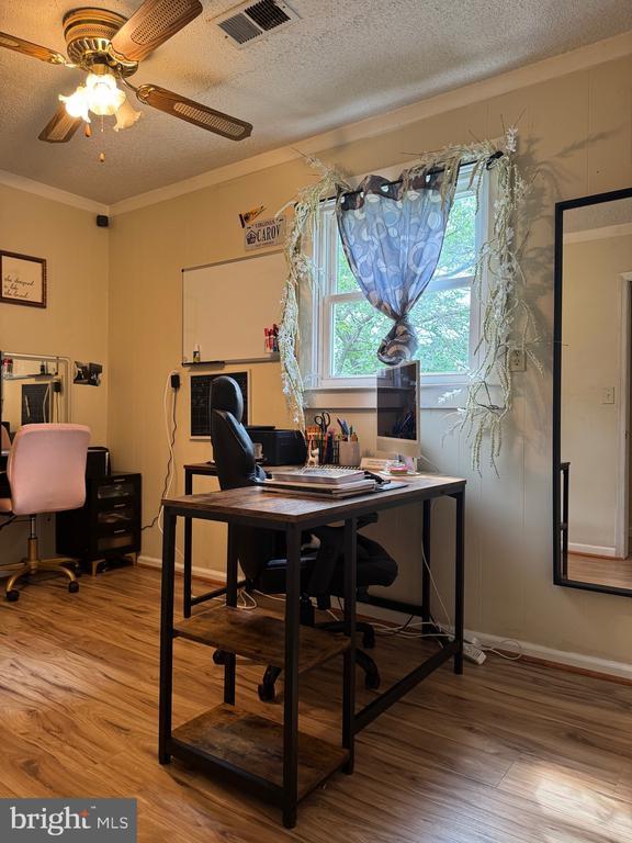 633 Ridge View Ln, Shenandoah, VA 22849 - office space with light wood-type flooring, ornamental molding, ceiling fan, and a textured ceiling