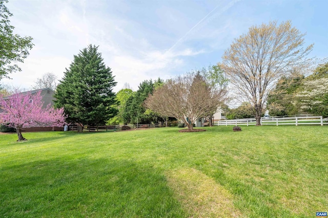 3340 Meadowfield Ln, Charlottesville, VA 22911 - view of yard