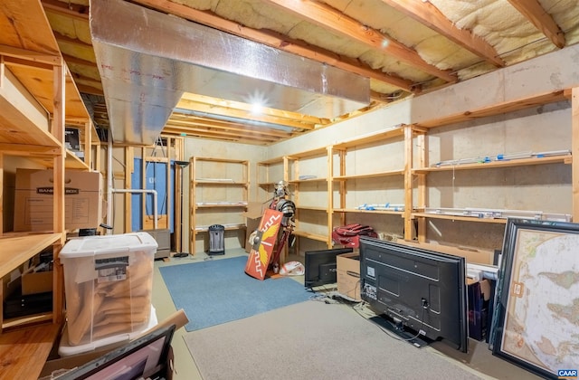 3340 Meadowfield Ln, Charlottesville, VA 22911 - view of storage area