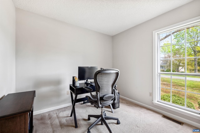 3340 Meadowfield Ln, Charlottesville, VA 22911 - carpeted home office with plenty of natural light, baseboards, and a textured ceiling