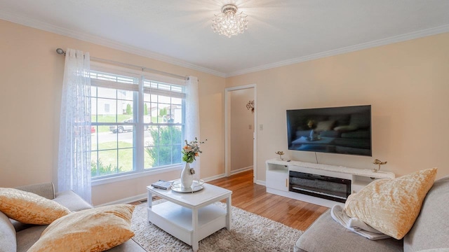 1411 Shenstone Dr, Harrisonburg, VA 22802 - living room featuring crown molding and wood finished floors