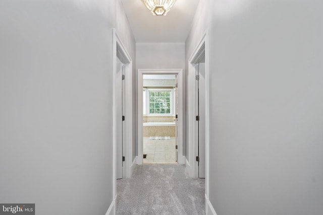 8700 Formation Dr, Fredericksburg, VA 22407 - photo 58