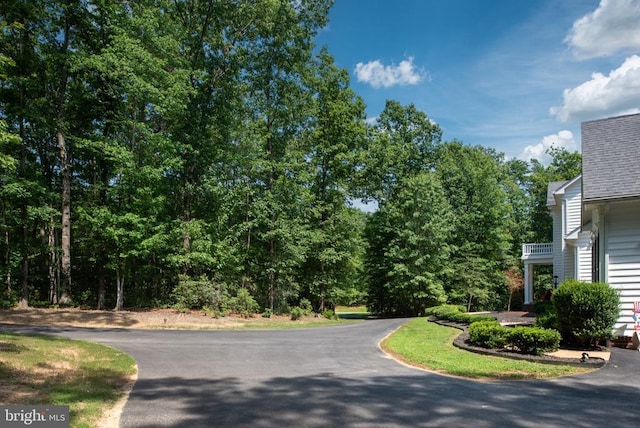 8700 Formation Dr, Fredericksburg, VA 22407 - photo 10