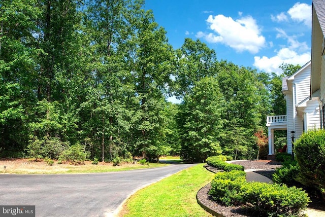 8700 Formation Dr, Fredericksburg, VA 22407 - photo 9