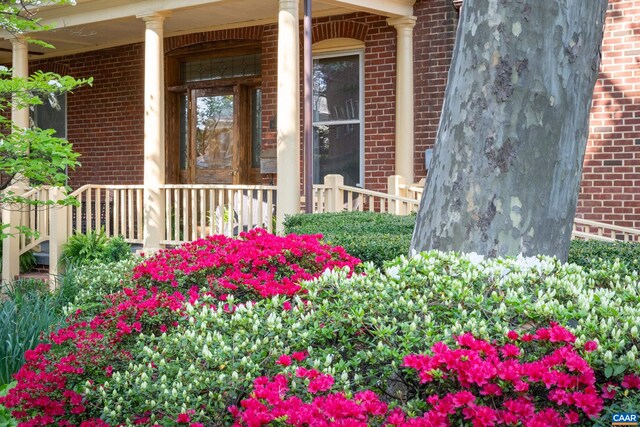 410 Altamont Cir, Charlottesville, VA 22902 - photo 70